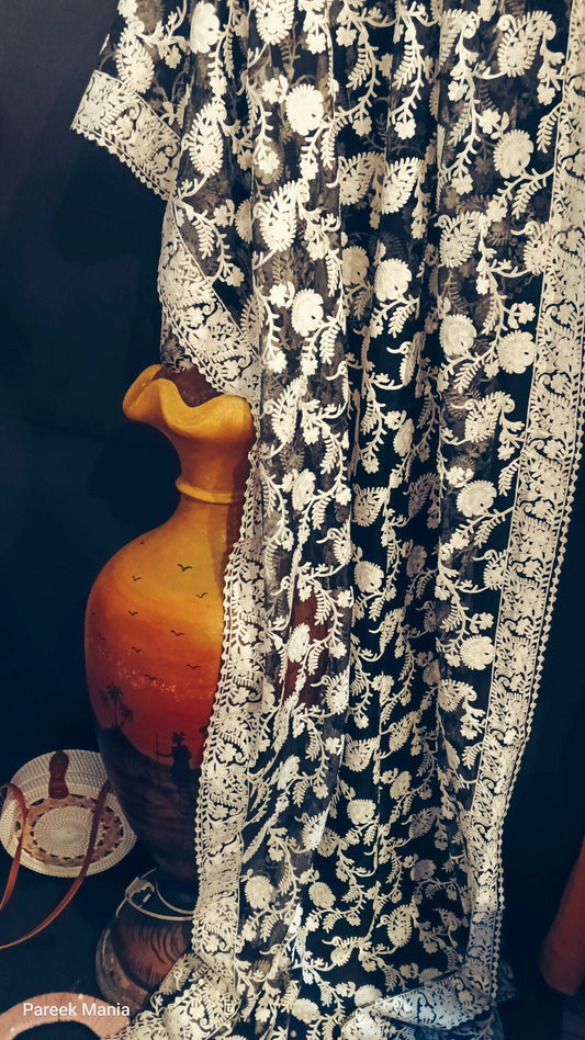 Moonlit Elegance –  Embroidered Soft Organza Dupatta by Pareek Mania in Noir Éclat
