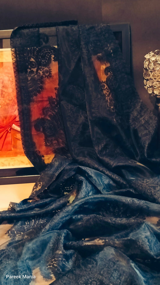 Noir Elegance – The Midnight Grace Organza Dupatta by Pareek Mania