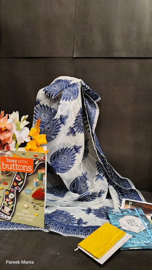 Royal Sapphire Breeze – Elegant Embroidered Organza Dupatta by Pareek Mania
